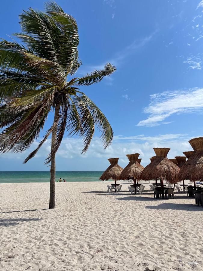 Itze Hostel Boutique - Progreso Прогресо Экстерьер фото